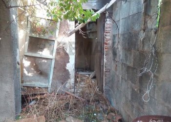 Giardino - Casa indipendente Via Marciano
 
61, San Gregorio di Catania - foto 2