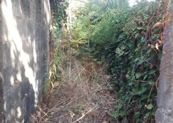 Giardino - Casa indipendente Via Marciano
 
61, San Gregorio di Catania - foto 3