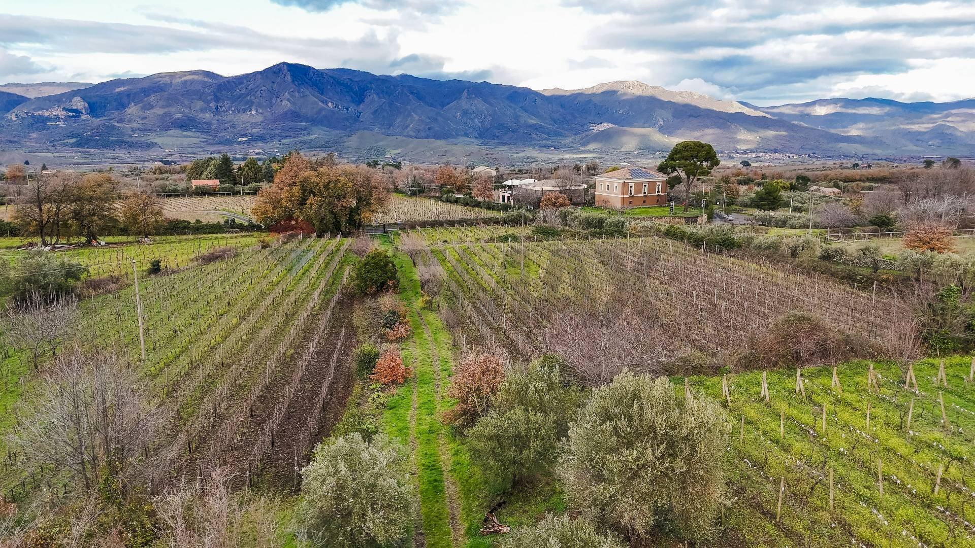 Vista delle montagne - Building land Contrada Calderara
 
snc, Randazzo - photo 1