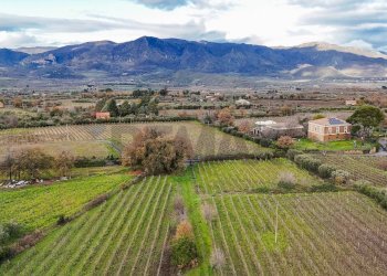 Vista delle montagne - Terreno edificabile Contrada Calderara
 
snc, Randazzo - foto 2