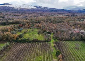 Vista delle montagne - Terreno edificabile Contrada Calderara
 
snc, Randazzo - foto 3