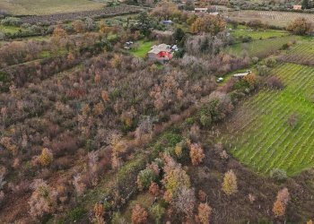 Posizione della mappa - Terreno edificabile Contrada Calderara
 
snc, Randazzo - foto 7