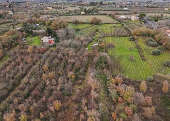 Vista delle montagne - Terreno edificabile Contrada Calderara
 
snc, Randazzo - foto 8