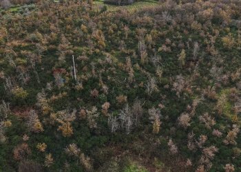 Posizione della mappa - Terreno edificabile Contrada Calderara
 
snc, Randazzo - foto 9