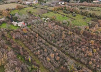 Vista delle montagne - Terreno edificabile Contrada Calderara
 
snc, Randazzo - foto 10