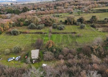 Vista delle montagne - Terreno edificabile Contrada Calderara
 
snc, Randazzo - foto 19