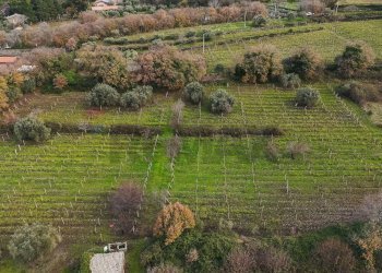Vista delle montagne - Terreno edificabile Contrada Calderara
 
snc, Randazzo - foto 20