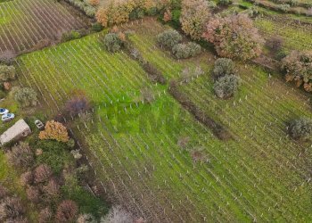 Giardino - Terreno edificabile Contrada Calderara
 
snc, Randazzo - foto 22