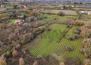 Vista delle montagne - Terreno edificabile Contrada Calderara
 
snc, Randazzo - foto 23
