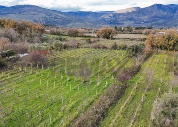Vista delle montagne - Terreno edificabile Contrada Calderara
 
snc, Randazzo - foto 24
