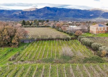 Vista delle montagne - Terreno edificabile Contrada Calderara
 
snc, Randazzo - foto 26