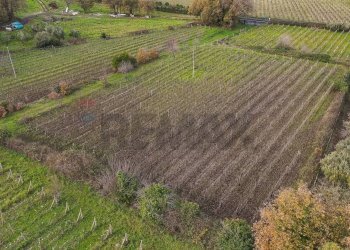 Giardino - Terreno edificabile Contrada Calderara
 
snc, Randazzo - foto 27