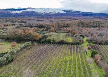 Vista delle montagne - Terreno edificabile Contrada Calderara
 
snc, Randazzo - foto 31