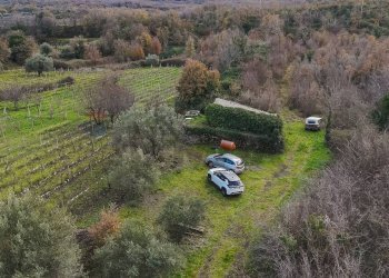 Giardino - Terreno edificabile Contrada Calderara
 
snc, Randazzo - foto 32