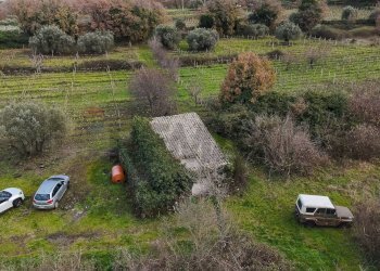Giardino - Terreno edificabile Contrada Calderara
 
snc, Randazzo - foto 34
