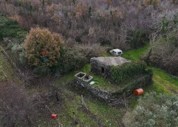 Giardino - Terreno edificabile Contrada Calderara
 
snc, Randazzo - foto 41