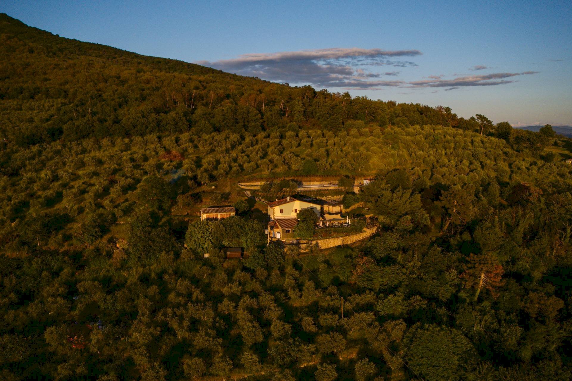 Vista delle montagne - Agriturismo Loro Ciuffenna - foto 1