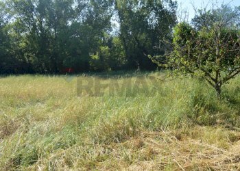 Giardino - Rustico Perugia - foto 6