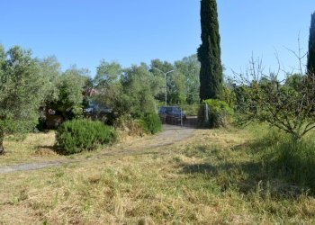 Giardino - Rustico Perugia - foto 12