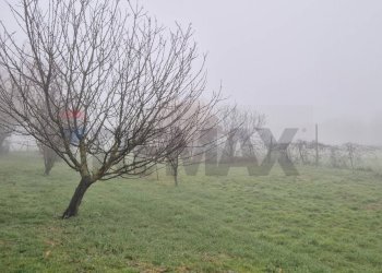 Giardino - Villa Via Santa Margherita
 
22, Ferrara - foto 4