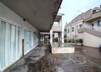 Terrazza - Bar Tavola Calda - Fredda Via Leonardo
 
84, Ravenna - foto 6