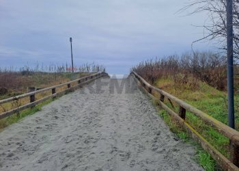 Vista dell\'acqua - Bar Tavola Calda - Fredda Via Leonardo
 
84, Ravenna - foto 10