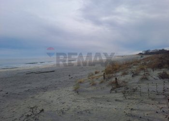 Vista dell\'acqua - Bar Tavola Calda - Fredda Via Leonardo
 
84, Ravenna - foto 12