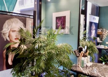 Foto 1 - Attività Commerciale Pavia - foto 1