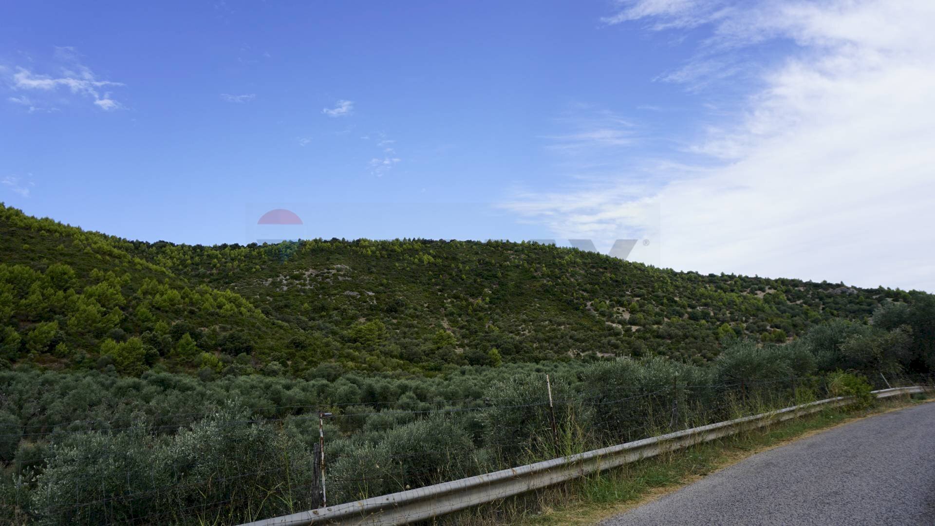 terreno - Terreno agricolo Località Perazzeta, Vieste - foto 2