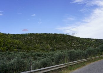 terreno - Terreno agricolo Località Perazzeta, Vieste - foto 2