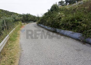 strada che conduce al terreno - Terreno agricolo Località Perazzeta, Vieste - foto 9