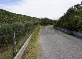 strada che conduce alla proprietà - Terreno agricolo Località Perazzeta, Vieste - foto 10