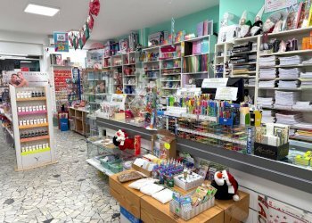 Dispensa di stoccaggio - Attività Commerciale via domenico fiorani
115, Sesto San Giovanni - foto 3