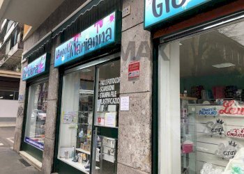 Edificio all\'aperto - Attività Commerciale via domenico fiorani
115, Sesto San Giovanni - foto 4