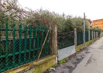 Giardino - Terreno edificabile Via Bompensiere
 
snc, Roma - foto 6