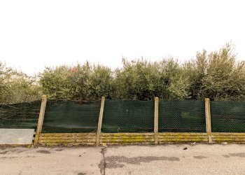 Giardino - Terreno edificabile Via Bompensiere
 
snc, Roma - foto 8