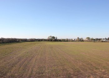 Foto 14 - Capannone via Enzo Ferrari, Lecce - foto 14