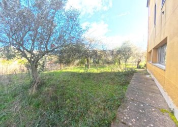 Giardino - Villa via delle Palme, Torretta - photo 21