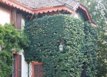 Foto 6 - Villa Località Campale
 
2, Molare - foto 6