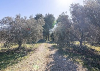 Giardino - Independent house C.da Giambra
 
snc, Cassaro - photo 22