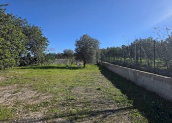 Giardino - Independent house C.da Giambra
 
snc, Cassaro - photo 23