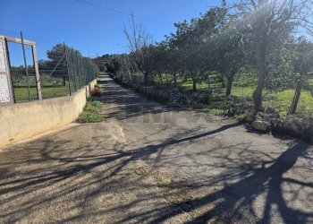 Giardino - Independent house C.da Giambra
 
snc, Cassaro - photo 26