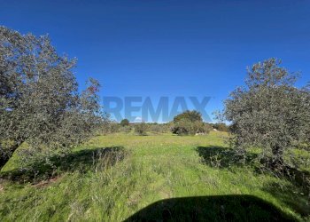 Giardino - Independent house C.da Giambra
 
snc, Cassaro - photo 29