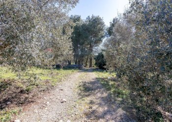 Giardino - Independent house C.da Giambra
 
snc, Cassaro - photo 24