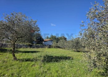 Giardino - Independent house C.da Giambra
 
snc, Cassaro - photo 36