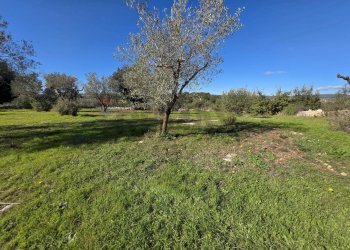 Giardino - Independent house C.da Giambra
 
snc, Cassaro - photo 38