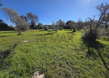 Giardino - Independent house C.da Giambra
 
snc, Cassaro - photo 40