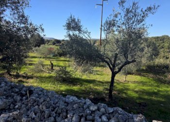 Giardino - Independent house C.da Giambra
 
snc, Cassaro - photo 41