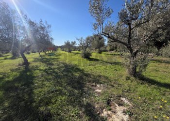 Giardino - Independent house C.da Giambra
 
snc, Cassaro - photo 42