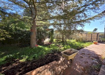 Giardino - Independent house C.da Giambra
 
snc, Cassaro - photo 44